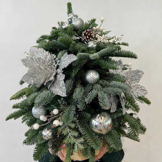 Елки из нобилиса