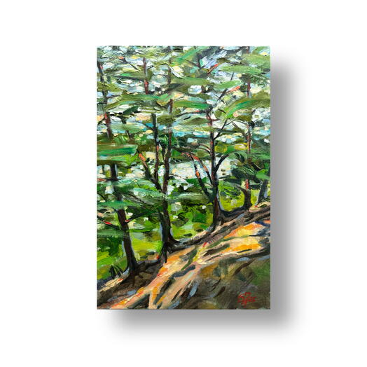 Картина маслом пейзаж с соснами в Козино. Малый формат