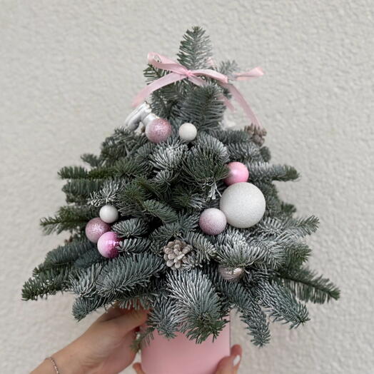 Ёлка из живого нобилиса 🎄