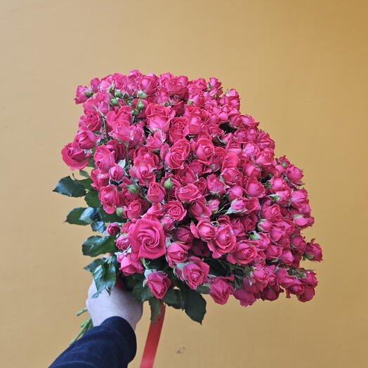 Розы кустовые черри 39шт
