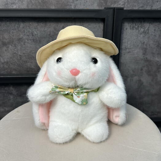 Шляпадағы қояншық