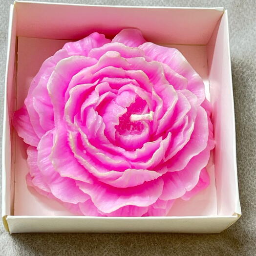 Розовая свеча роза