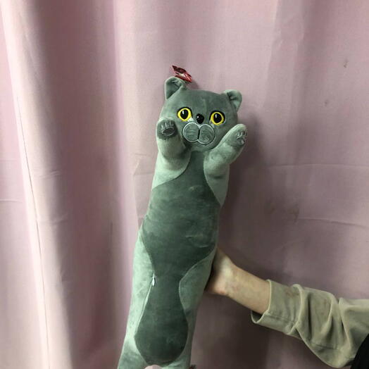 Кот батан 60