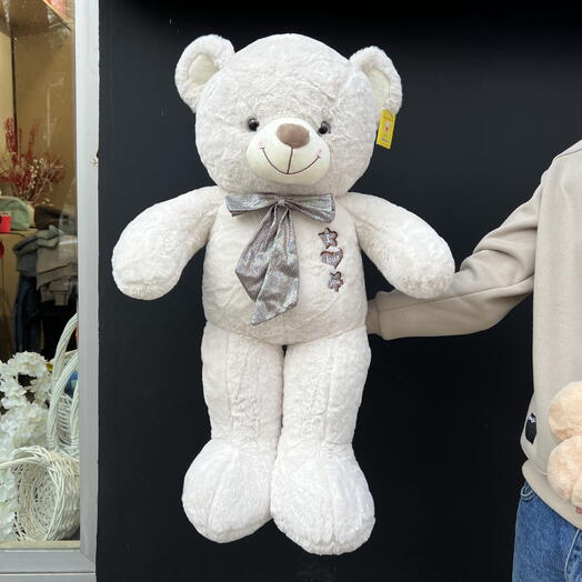 Medium size teddy bear