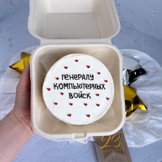 Бенто торт «генералу компьютерных войск»