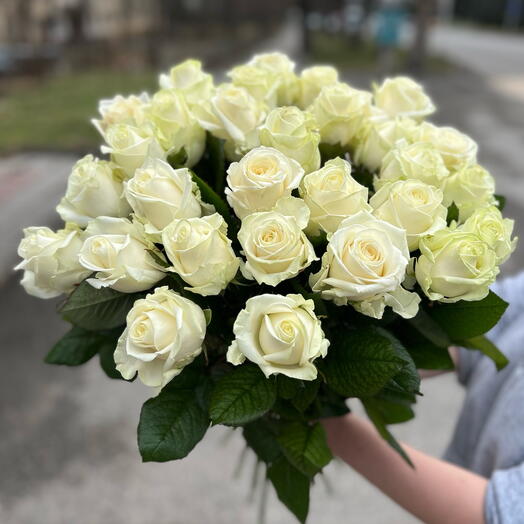 Белая Роза Эквадор