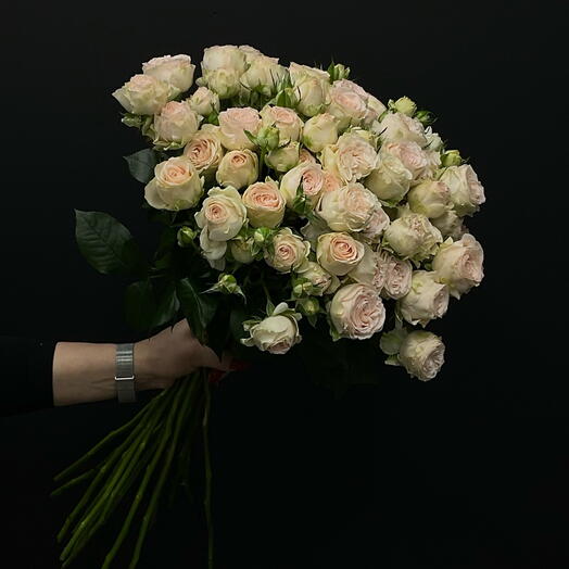 Роза кустовая 15 шт
