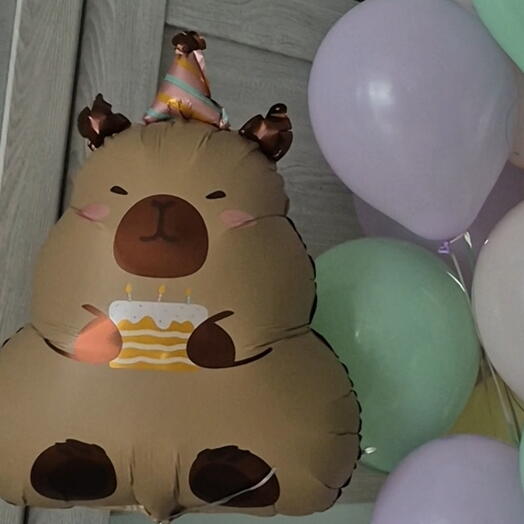 Воздушный шар Капибара