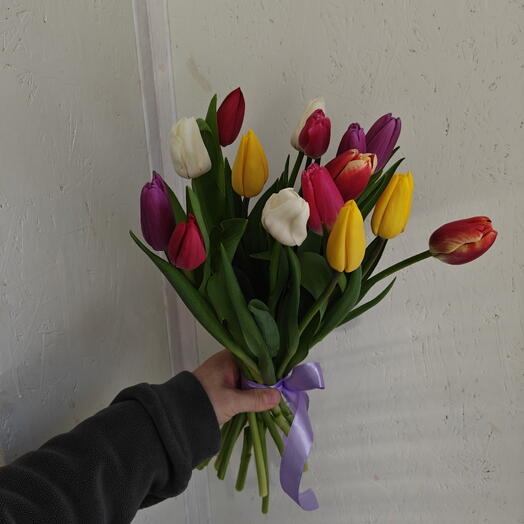 Букет из 15 тюльпанов,, СОЧИ