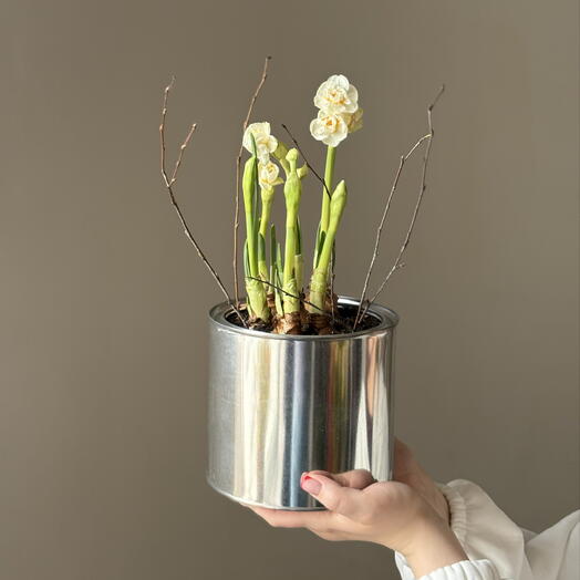 Пионовидные нарциссы в металле - вау эффект