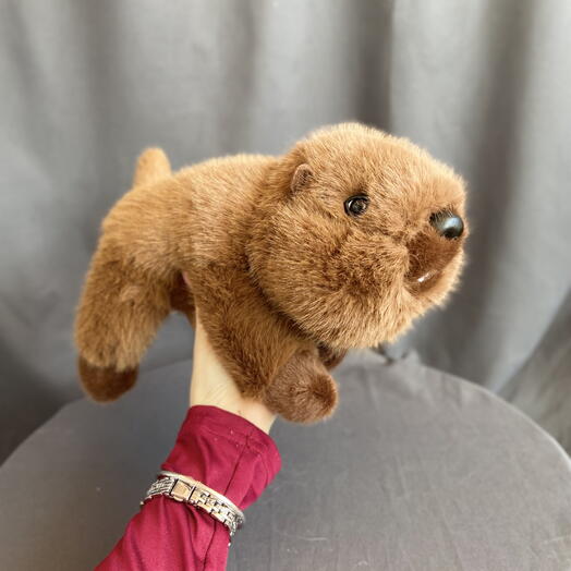 Мягкий коричневый бобер