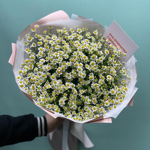 Милый букет ромашек