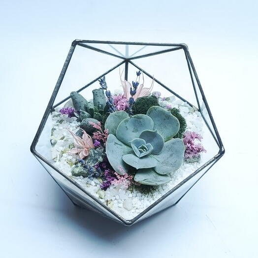 Florarium con suculentas" terciopelo ternura Mini " icosaedro 14cm