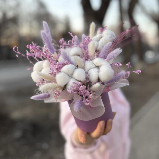 Сиреневые Сухоцветы