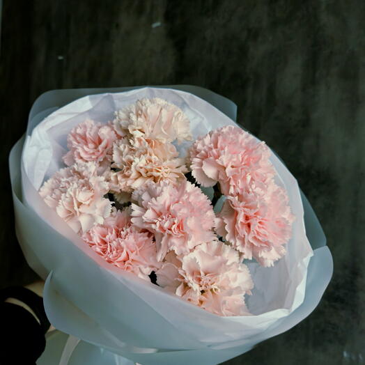 Кудрявые, розовые диантусы🌸