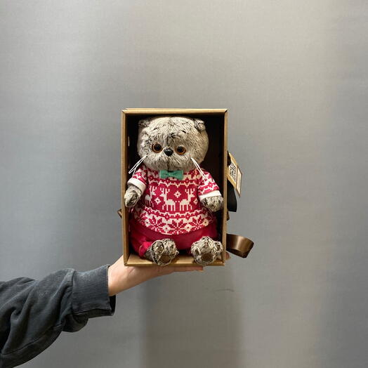 Кот Басик в пижаме