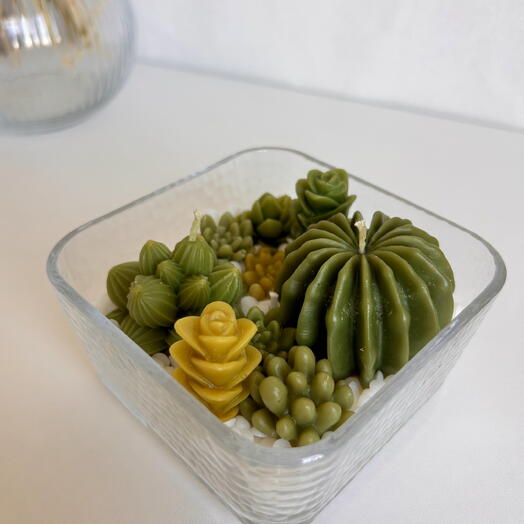 Свечи кактусы