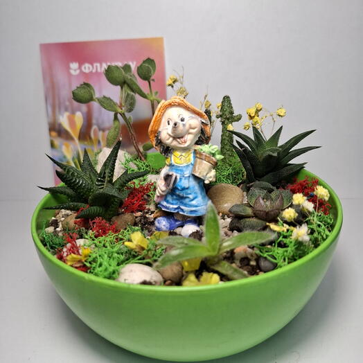 Флорариум, мини сад - цветы близким