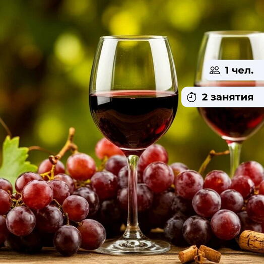 Винный компас. Интенсивный курс обучения в винной школе