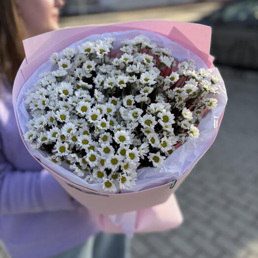 Милый комплимент с хризантемой мини