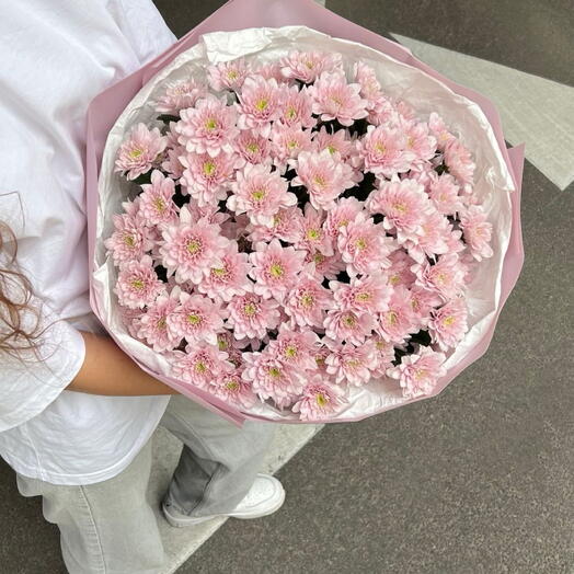 Моно букет из 15 кустовых хризантем Пастелла🌸