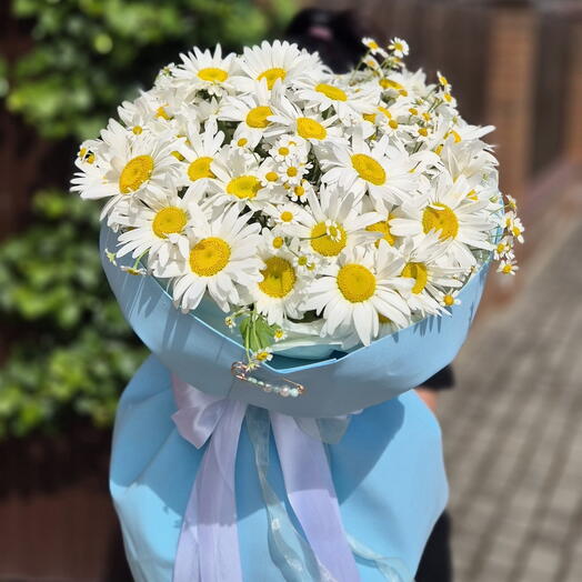 Большой букет Ромашек🌼🐝
