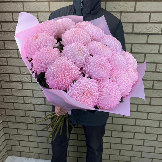19 розовых хризантем крупных