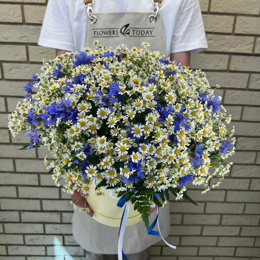 Коробка с ромашкой и васильками