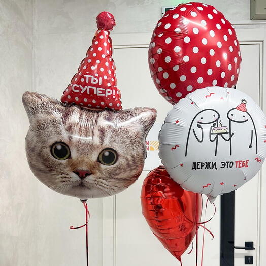 Воздушные шары «Котик в колпаке»