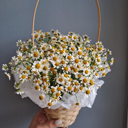 Корзинка с полевыми ромашками