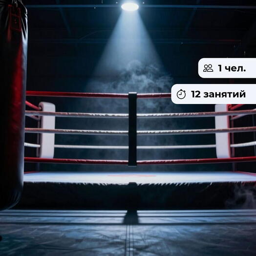 Сила Востока. Курс занятий по единоборствам