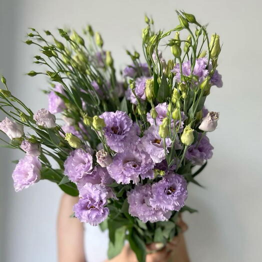 Лизантуси💜