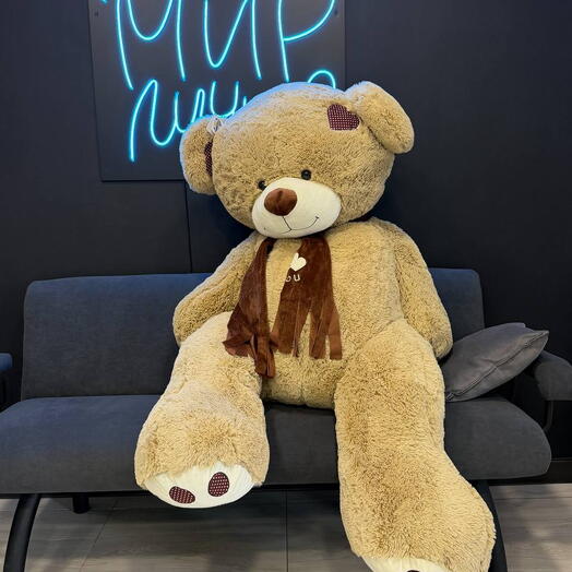 Медведь кофейный 200