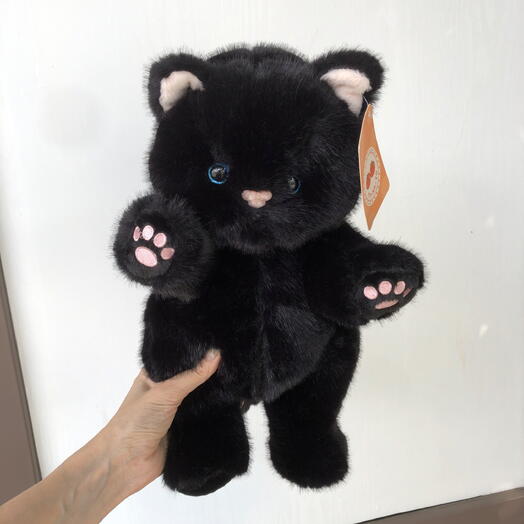 Черный кот