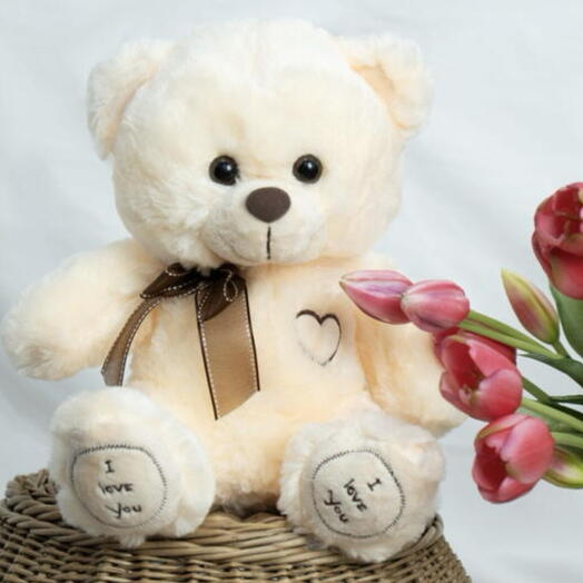 Плюшевый мишка молочный I love you 27 см