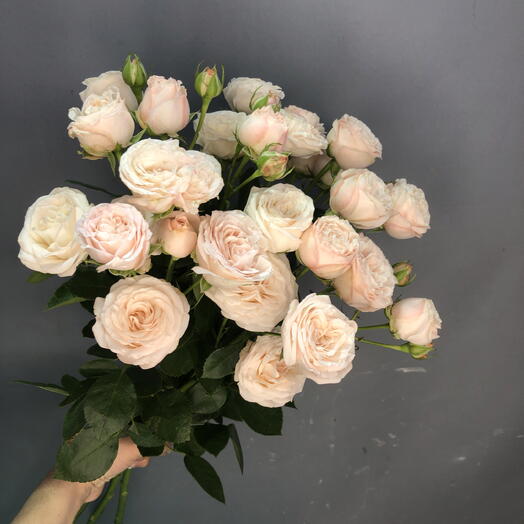 Нежные пионовидные кустовые розы под атласную ленту🌸