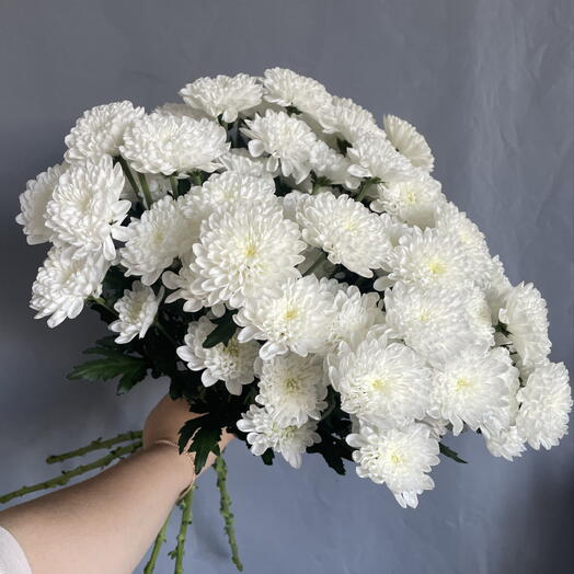 Пятнадцать «Ты моё всё»💐