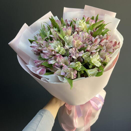25 alstroemeria suave