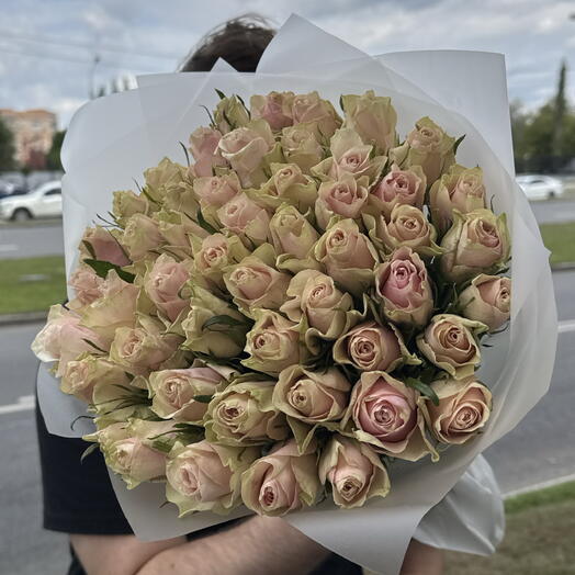 Розовая Роза