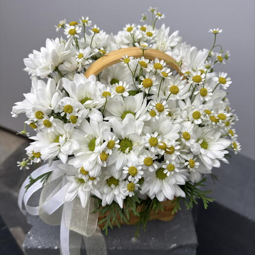 «Ромашковое настроение»🌼