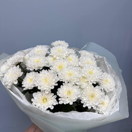 Букет из кустовых хризантем Алтай