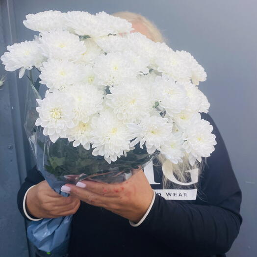 Пачка( 5шт) Хризантема Алтай