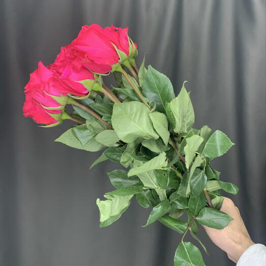 Роза VI Pink 9 шт