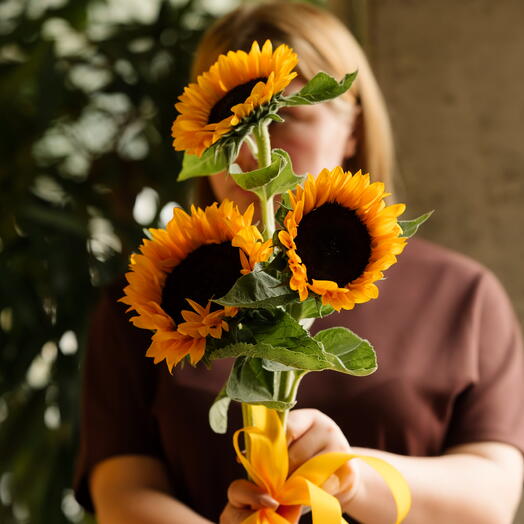 Подсолнух