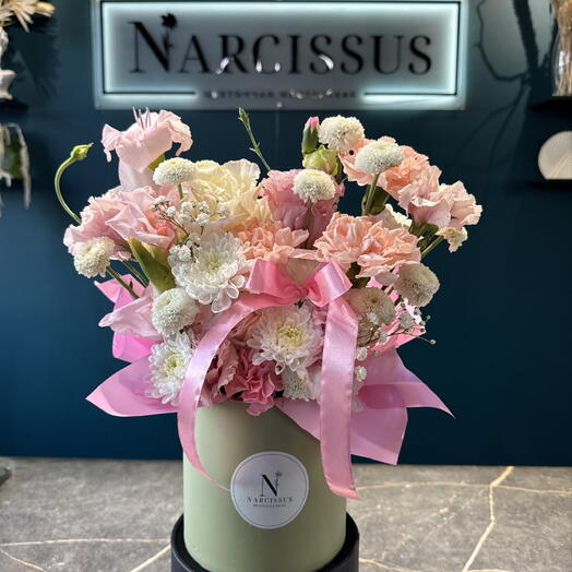 NARCISSUS
