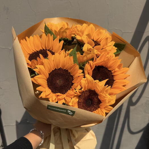 Sunflower season