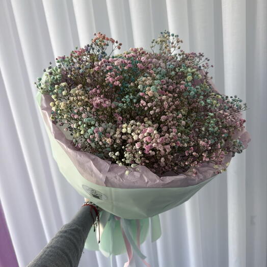 Разноцветная гипсофила