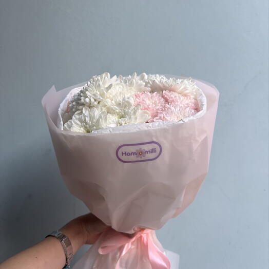 Chrysanthemum softness