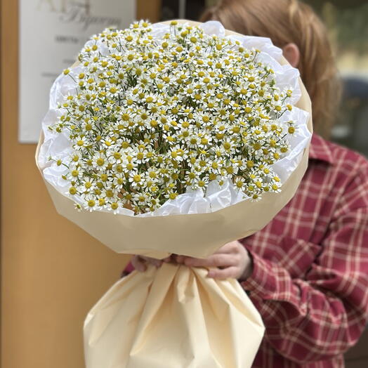 Очаровательный букет ромашек 🤍