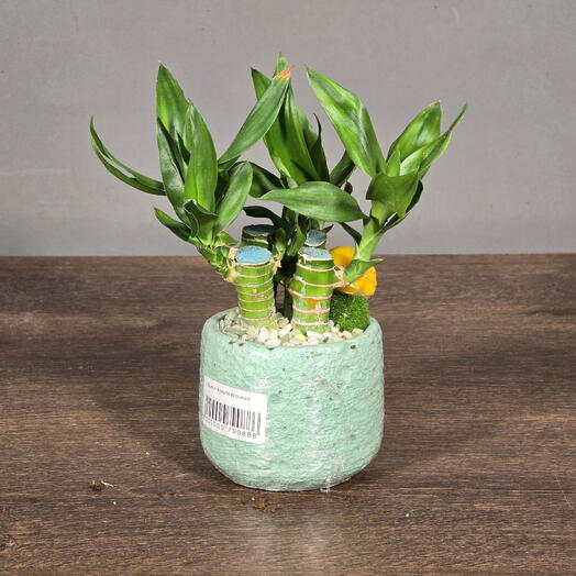 April_Plants